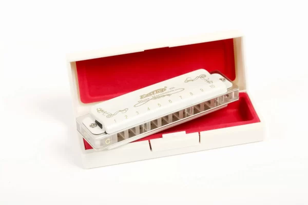East top 10 hole harmonica professional blues diatonic harmonica for beginner,player,gift - Image 3