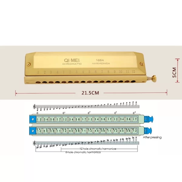 QI MEI Chromatic Harmonica 16 Hole 64 Tone Mouth Organ Instrumentos Key Of C Professional Musical Instruments - Image 2