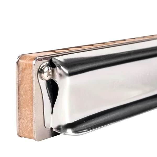 Suzuki 10 Holes Diatonic Harmonica Blues Harp Professionals Armonica M-20 ManJi Ultimate Standard Model Mouth Organ Low Key C F - Image 4