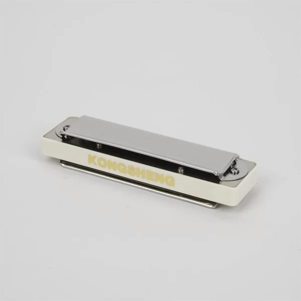 KONGSHENG New Amazing 20 10-Hole Diatonic Harmonica White and Black Comb - Image 4