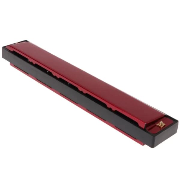 Professional 24 Hole Harmonica Mouth Metal Organ For Beginners - Image 3