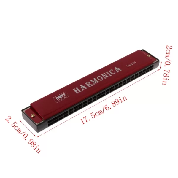 Professional 24 Hole Harmonica Mouth Metal Organ For Beginners - Image 6