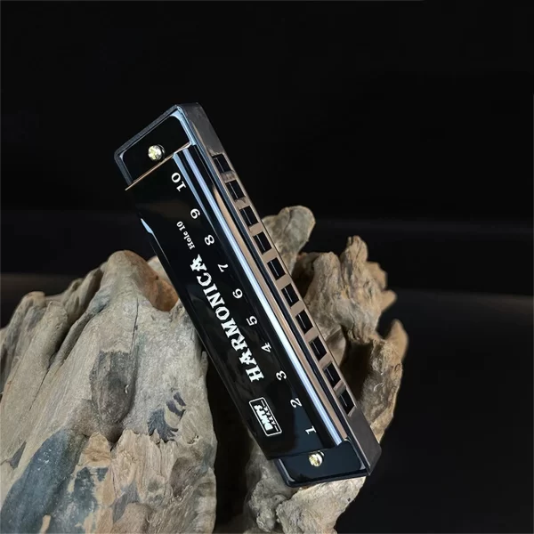 Harmonica Key of C 10 Hole Diatonic Harmonica C with Case for Beginner Students Kids Gift with Case - Image 3