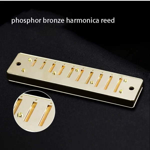 Swan 10 Hole C Harmonica Mouth Organ Blues Harp Phosphor Bronze Case Diatonic Beginner Harmonica Kit for Kids - Image 3