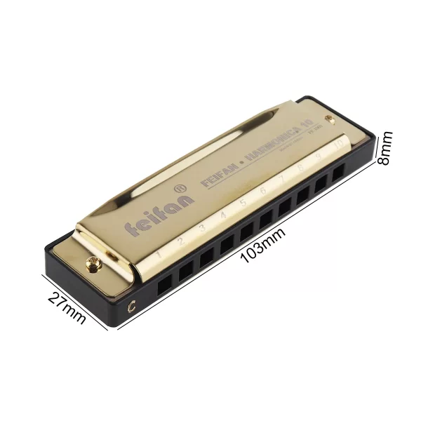 10 Holes 20 ToneC Matte Gold / Black Harmonica Blues Harp Mouth Organ Stainless Steel Musical Instrument for Beginner - Image 6