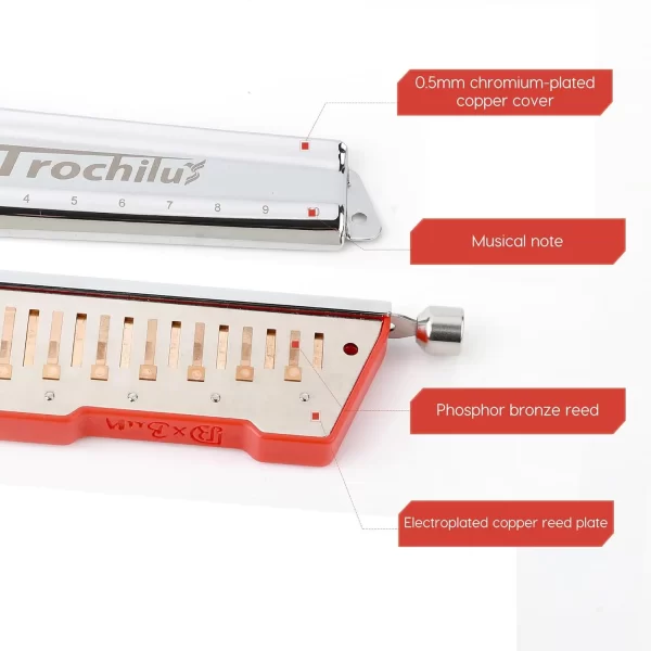 JDR Trochilus 10 Holes Chromatic Harmonica Key of C Armonica Valveless Harp Mouth Organ Chromonica with Case for Beginners - Image 4