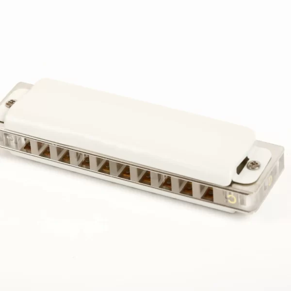 East top 10 hole harmonica professional blues diatonic harmonica for beginner,player,gift - Image 4