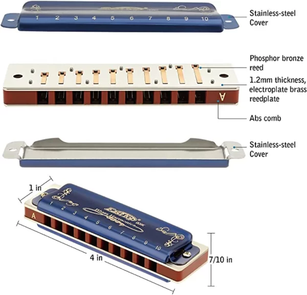 East top Harmonica 008K Blues Harp Mouth Organ10 Holes 20 Tones Diatonic Blues Harmonica with Blue Case, Top Grade Harmonica - Image 3