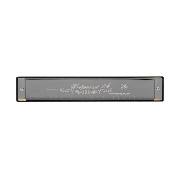 professional 24 holes c key harmonica for beginners kids advanced harmonica instrument with heavy sound for performance