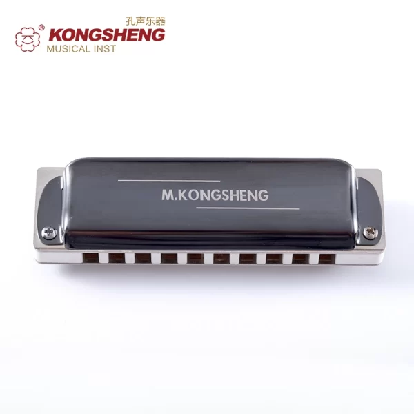 kongsheng ks 10bh tingharp diatonic harmonica white comb major and paddy richter tuning