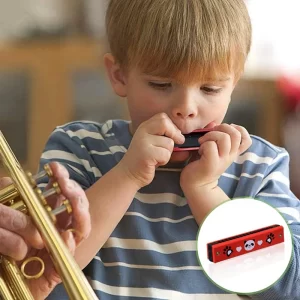 harmonica holder harmonica pack of 4 diatonic harmonica, wooden musical instrument for beginners, professionals, students