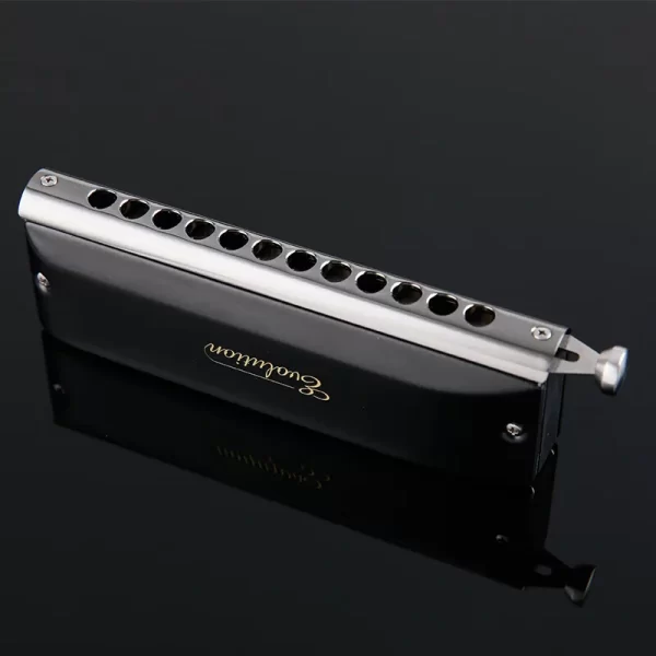 jdr chromatic harmonica key of c,12 holes 48 tones professional mouth organ harmonica for adults, professionals and students