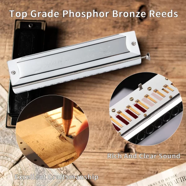 naomi swan 16 hole 64 tone chromatic harmonica c tone harmonica sw1664 model for children beginner musical beginner education