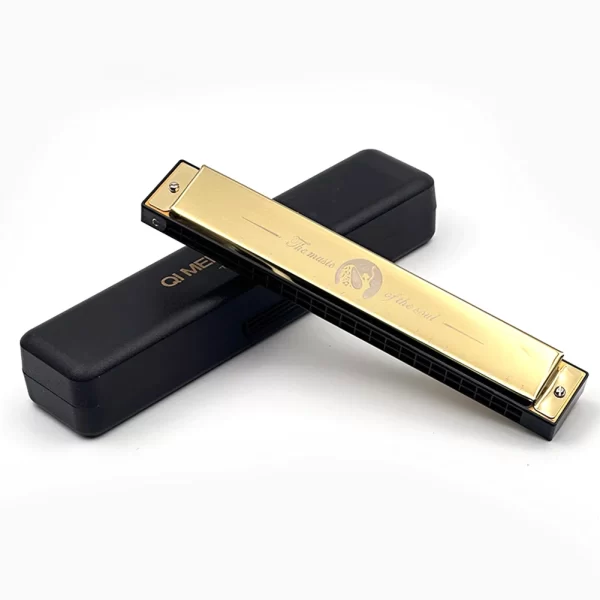 24 holes portable harmonica professional compact mouth organ standard harmonica lightweight harmonica for motivational gifts