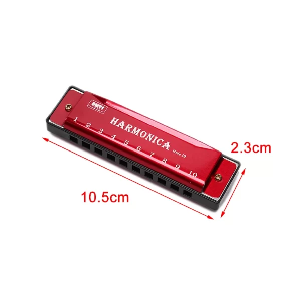 10 Hole Harmonica Mouth Organ Puzzle Musical Instrument Beginner Teaching - Image 4