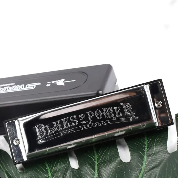 Harmonica Senior Bruce 10 Hole BLUES with Case Brass Stainless Steel - Image 2