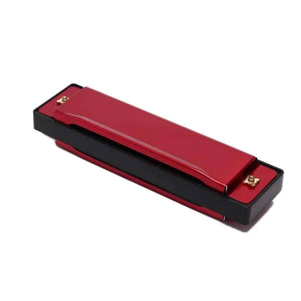 10 Hole Harmonica Mouth Organ Puzzle Musical Instrument Beginner Teaching - Image 6